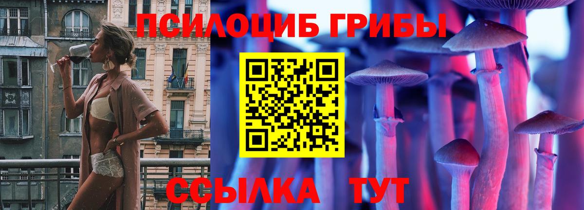 Галлюциногенные грибы прущие грибы Фурманов